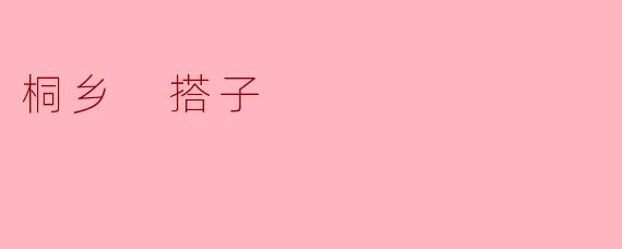 桐乡 搭子